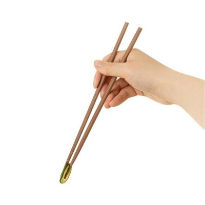 Carbonized Bamboo Wooden Chopsticks Disposable Individually Wrapped Sustainable Natural Custom Logo for Travel